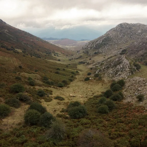 Valle de Los Corrales con prados verdes y matorrales entre montañas