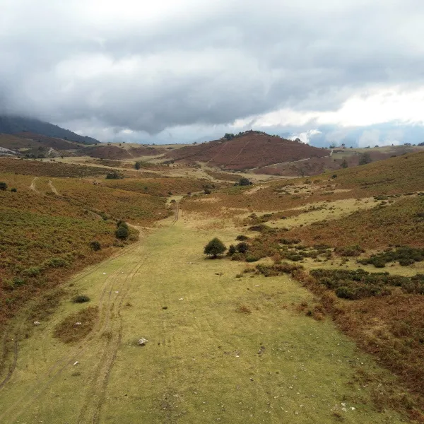 Pradera de montaña en Mortera de Salcedo con sendero natural entre colinas