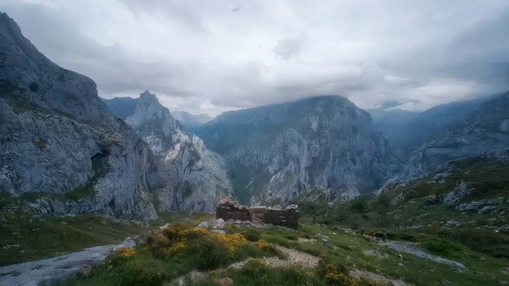 Flora y fauna de los Picos de Europa: biodiversidad y rutas 8 Flora y fauna de los Picos de Europa