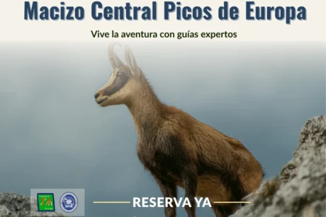 Reservar Trekking Macizo Central en Picos de Europa