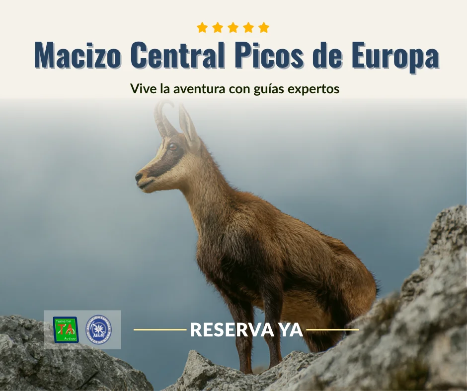Reservar Trekking Macizo Central en Picos de Europa